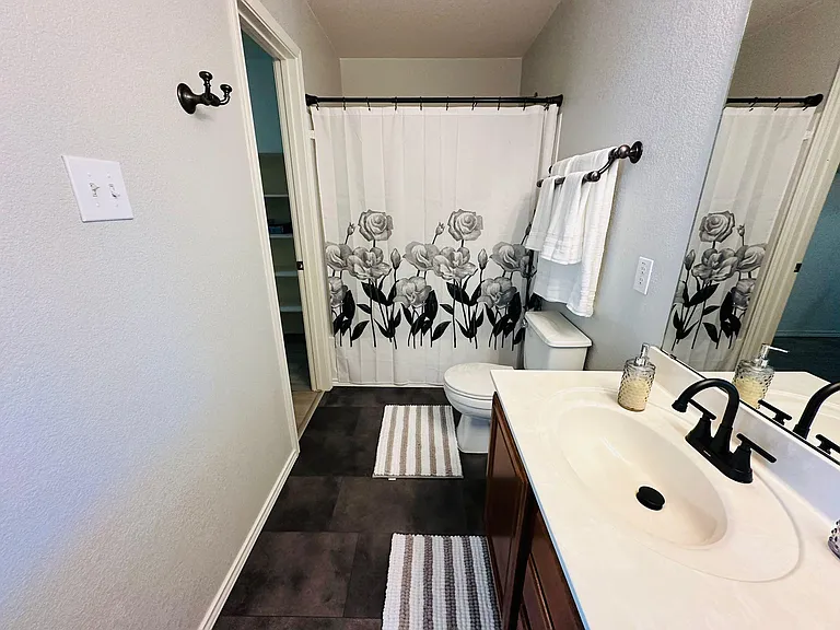 Master bathroom pic 2