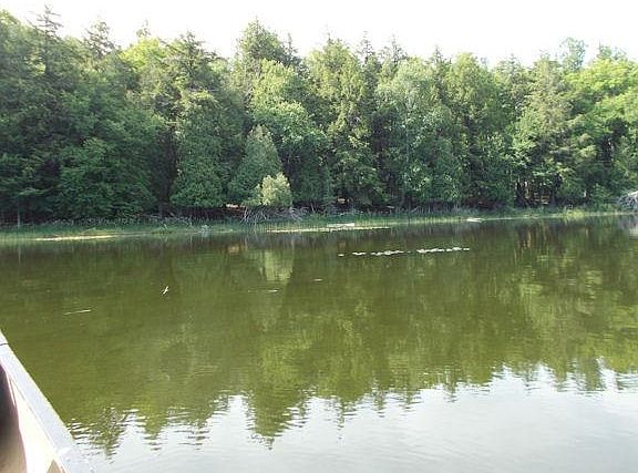 4th image of Lotto Lake Oriole Ln
