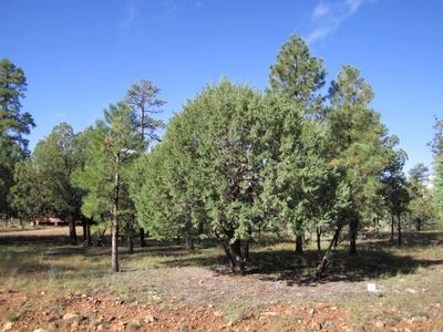 2354 San Juan Dr, Happy Jack, AZ, 86024