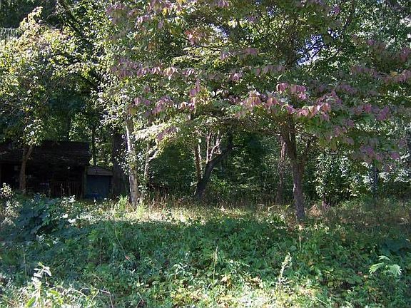 Property View #4