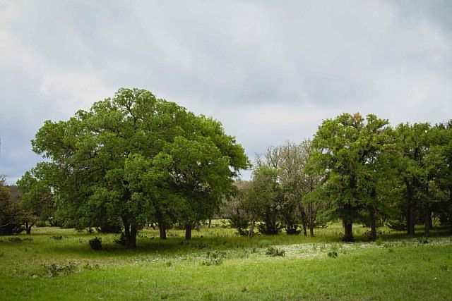 1st image of 38498 W Us Highway 290