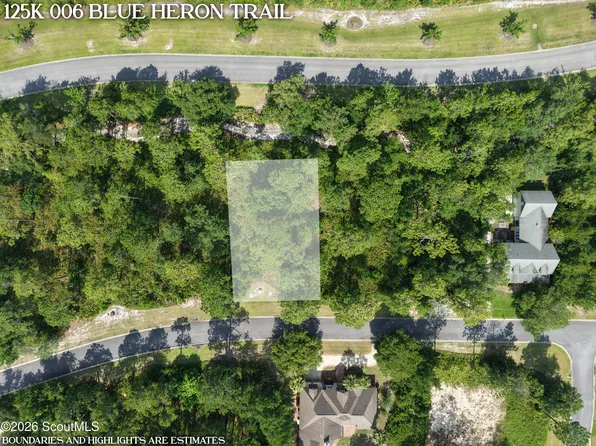 6 Blue Heron Trl, Waverly, GA 31565