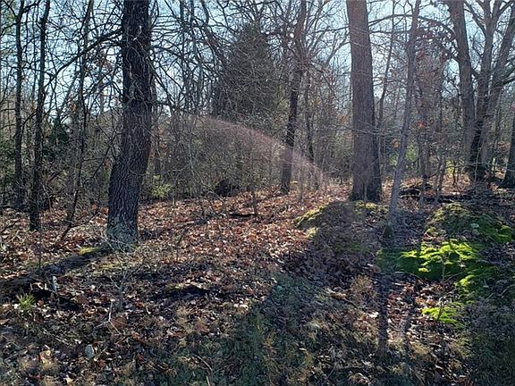 3rd image of Foster Ln