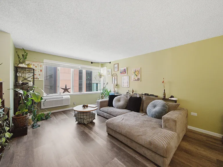 801 S Plymouth Ct #713 — Photo 3