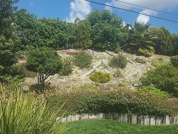 3rd image of 2229 Montrose Dr