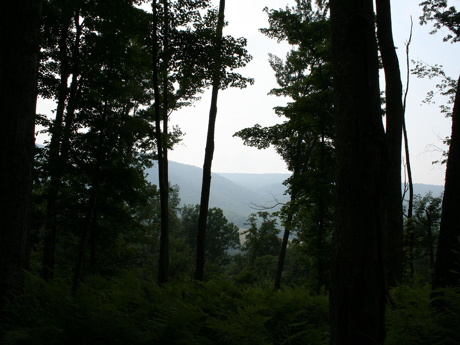 3 Highland Tpke, Monterey, VA 24465 MLS 634924 Zillow