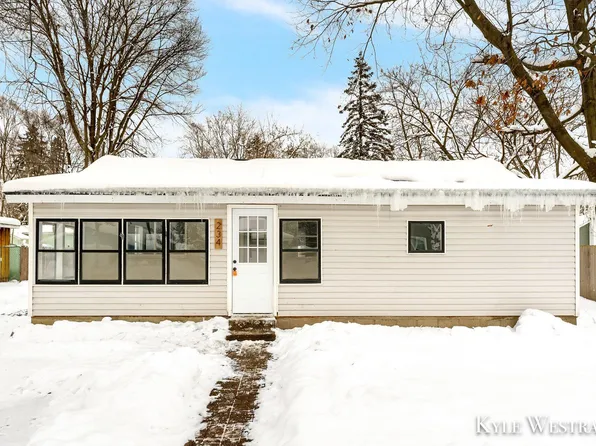 234 6th St NE, Cedar Springs, MI 49319