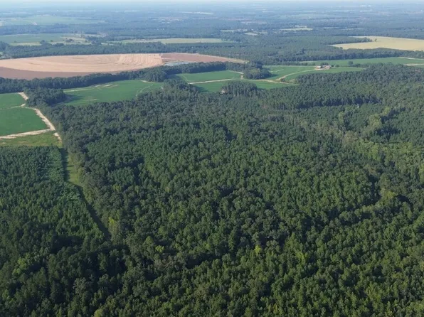 0 County Road 89, Black, AL 36314