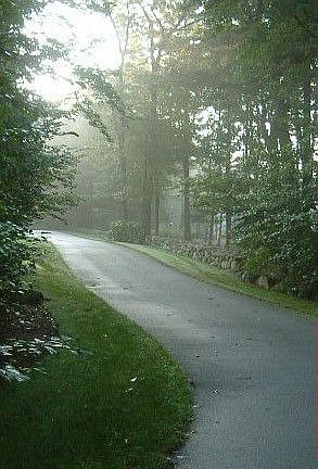 Partial View of Driveway