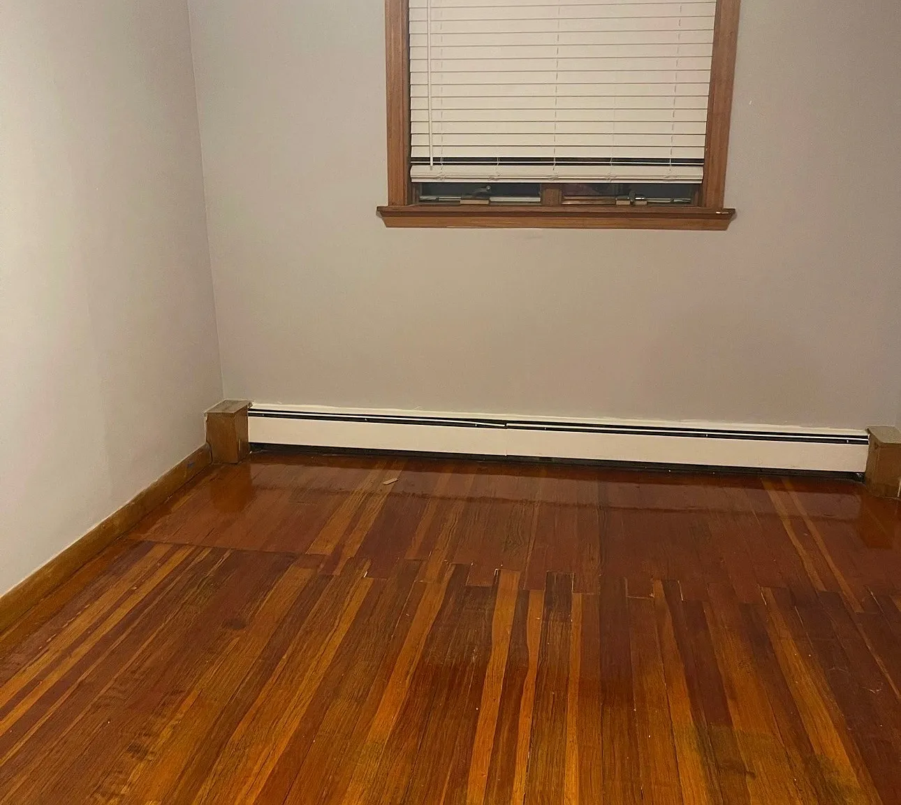 2 bed, 1.0 bath, $2,600 — Photo 3
