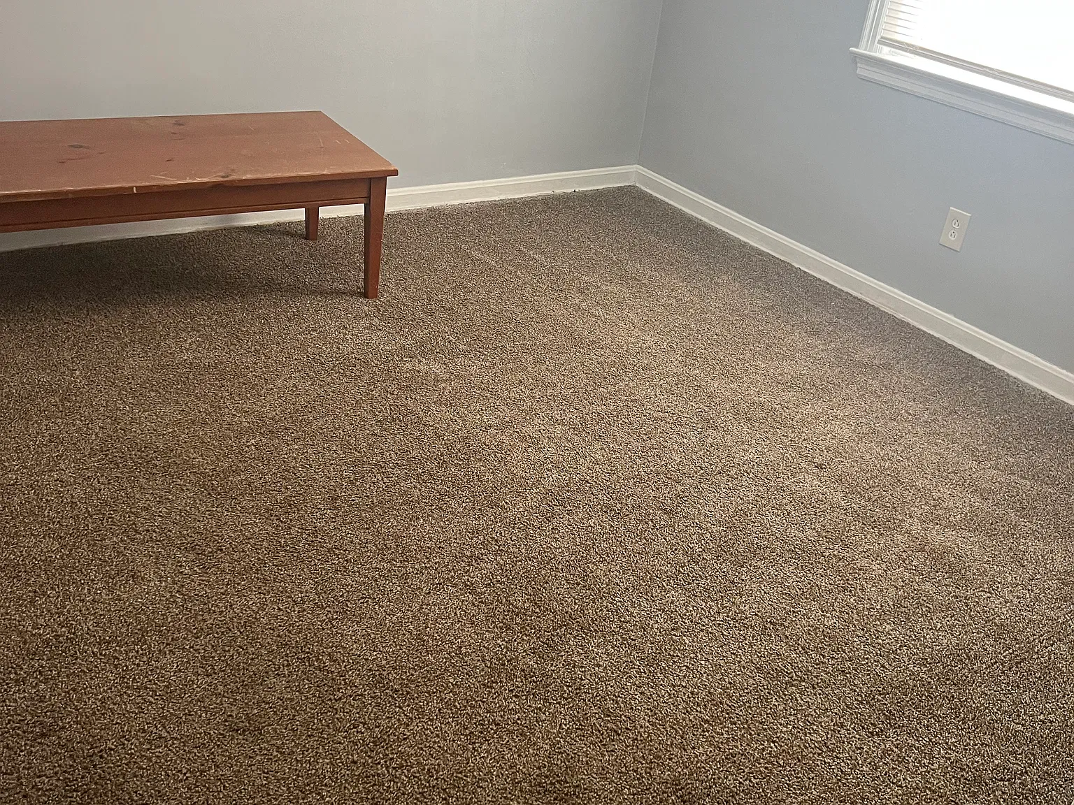 1 bed, 800 sqft, $595 — Photo 4