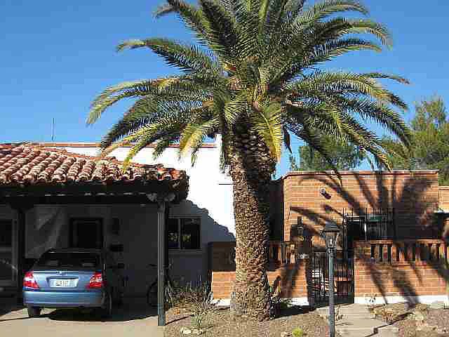 1st image of 406 S Paseo Solana