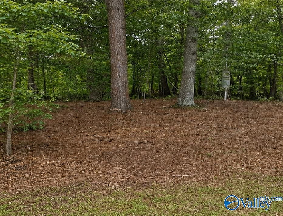 1st image of 491 County Road 65
