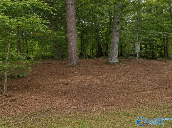 491 County Road 65, Centre, AL 35960