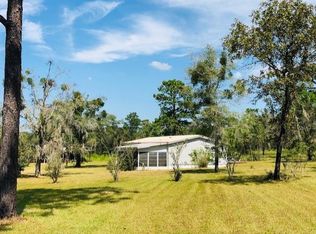 13951 SE 73rd Ln, Morriston, FL 32668