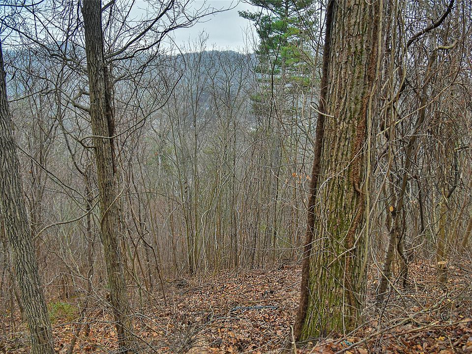 390 Vance Gap Rd 2, Asheville, NC 28804 MLS 4009088 Zillow