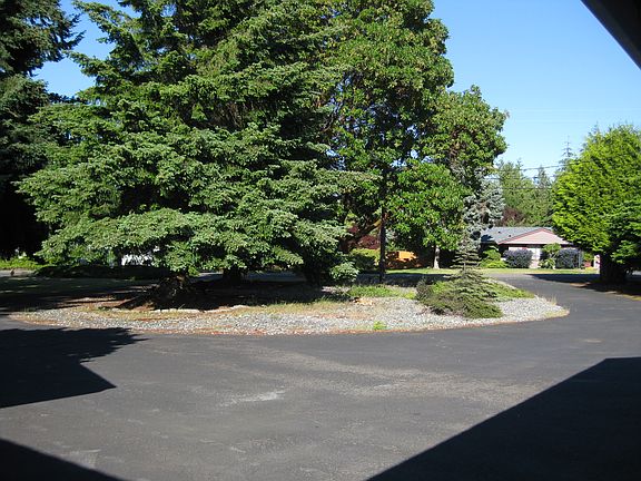 5th image of 413 Cedar Park Dr