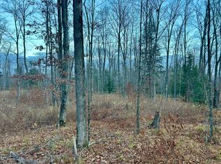 LOT 2 Old Elcho Rd, Pelican Lake, WI 54463