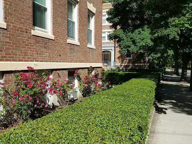 53 Manchester Rd #5 — Photo 24