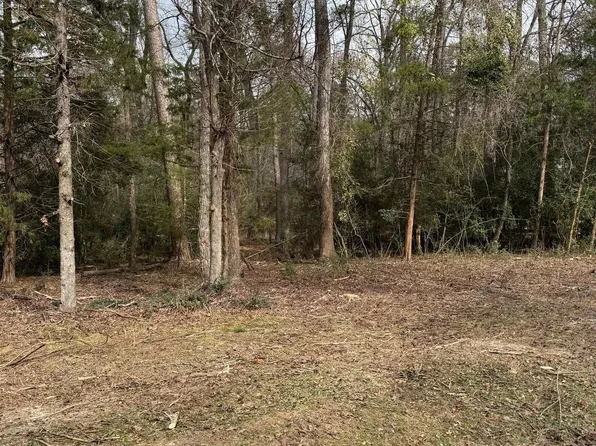 Lots 316 & 317 Brazos Bnd, Hawkins, TX 75765