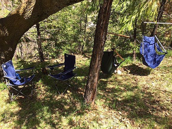  Unique Hanging Chair Tree