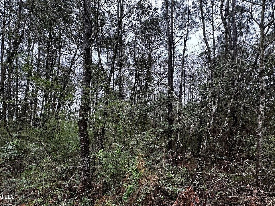 1st image of 12310 Barbara Dr