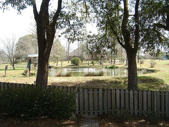View from back yard
