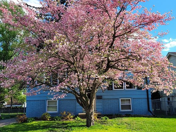 3rd image of 1132 Emma Ave