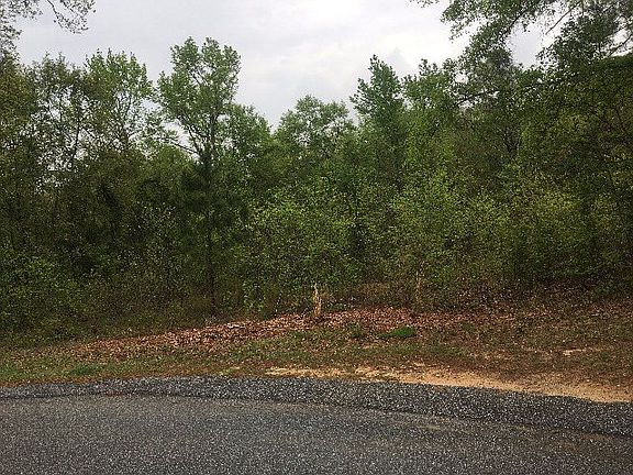 4th image of 50 Spanish Moss Cir