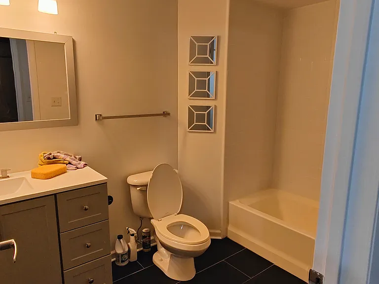1550 S Blue Island Ave #717 — Photo 18