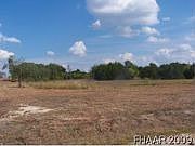 1st image of 910 Cactus Ln