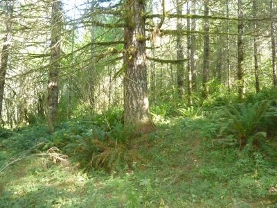 Thompson Rd, Yacolt, WA, 98675