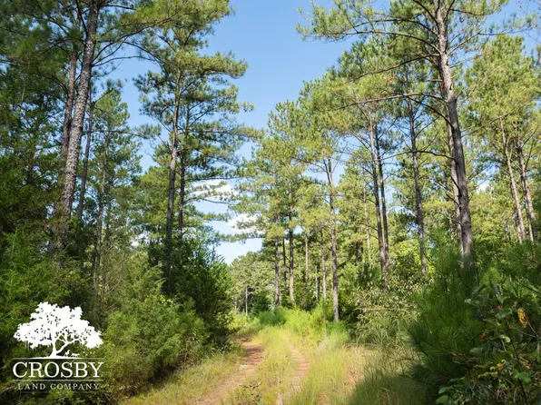 0 Ccc Rd, Troy, SC 29848