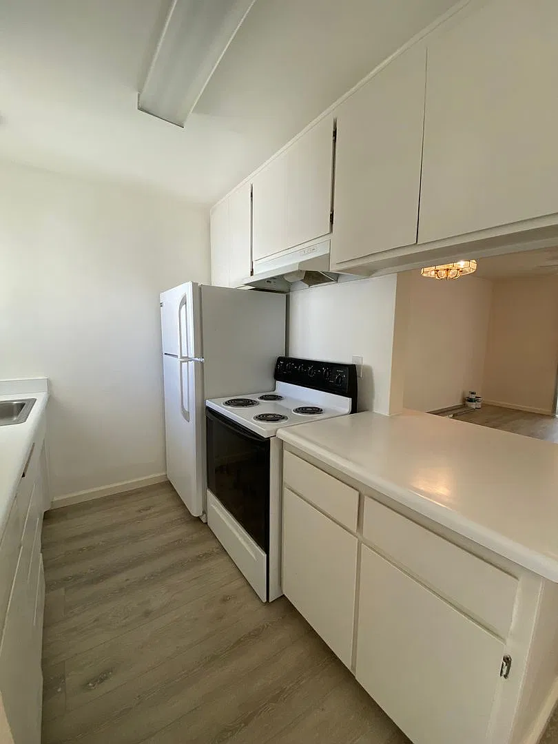 512 Elizabeth Street — Photo 4