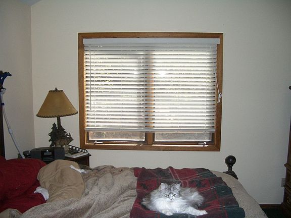 Old Window (Typical)