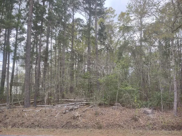 LOT 19 Charles Dr, Manning, SC 29102