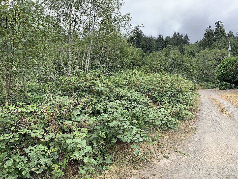 2nd image of 0 Railroad Rd