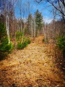 53 Sokokis Trail, Cornish, ME, 04020