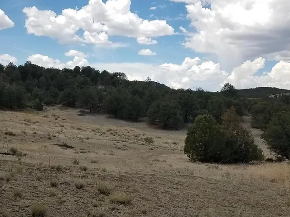 000 Troublesome Trail LOT 1B, Cotopaxi, CO 81223