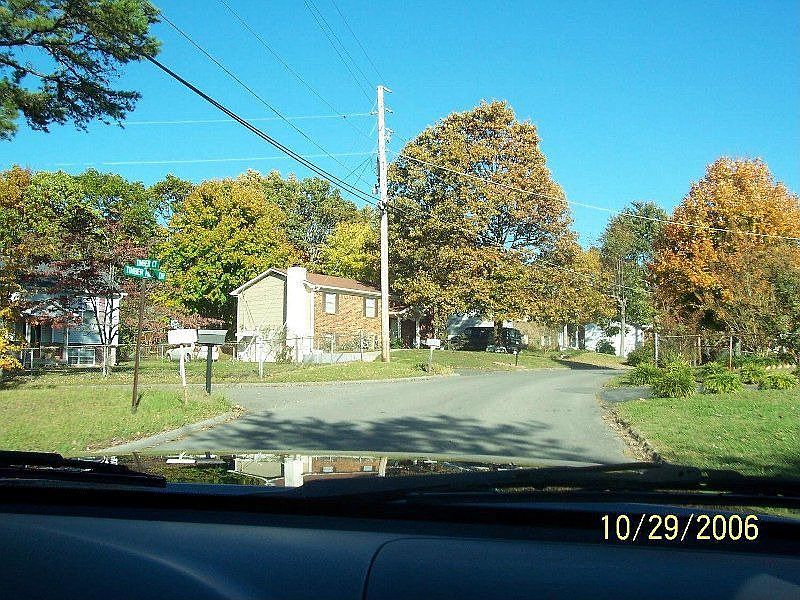Nice fall picture