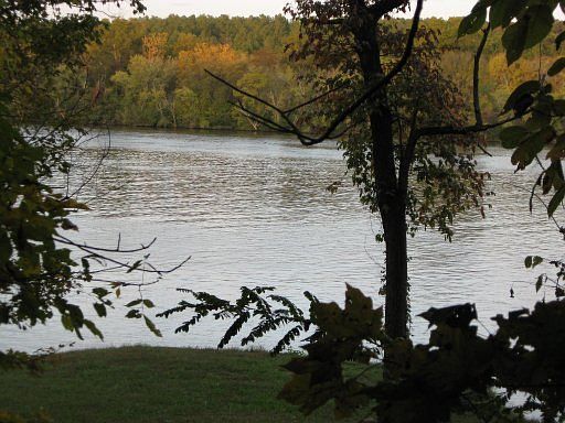 1st image of 295 Vineyard Cove Dr