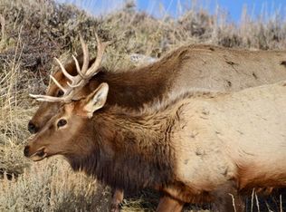 County Road 76, Hayden, CO 81639