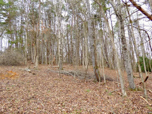 LOT 13 Back 9 Dr, White Pine, TN 37890