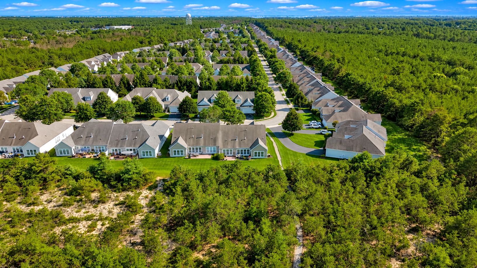  Westhampton Pines surrounded by preserved woodland