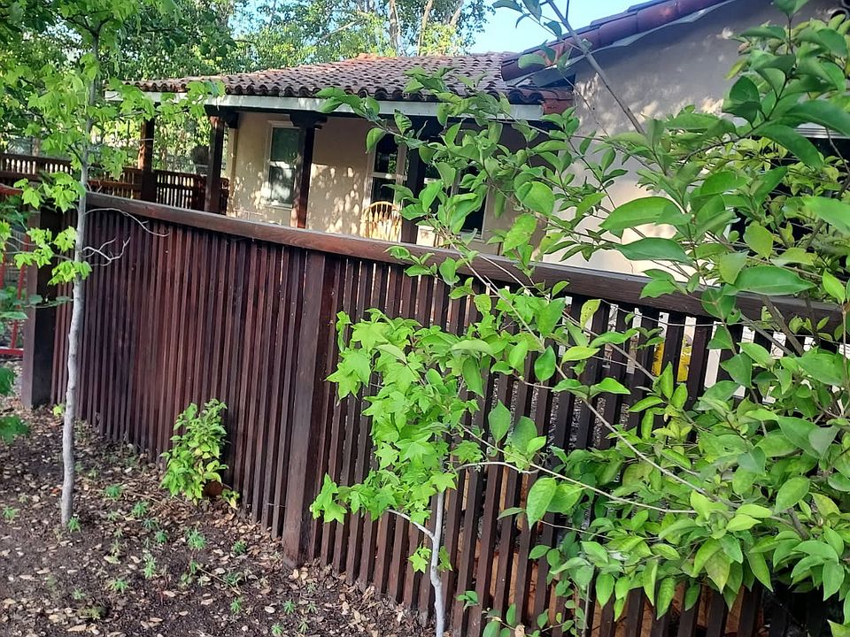 Front yard