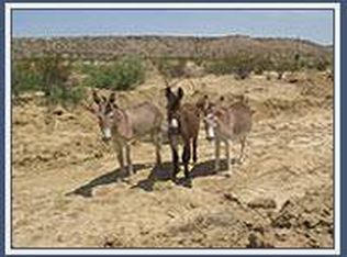 51550 State Highway 118 S #H-69, Terlingua, TX 79852