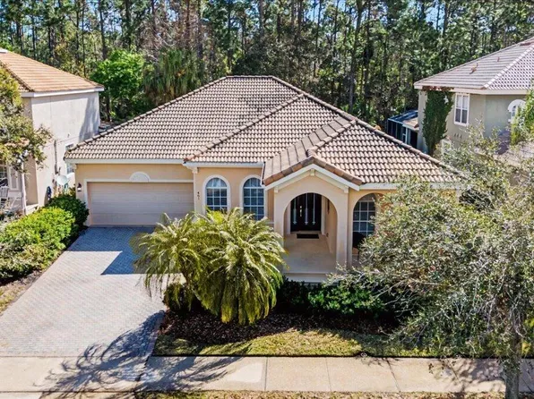 461 Luna Bella Ln, New Smyrna Beach, FL 32168