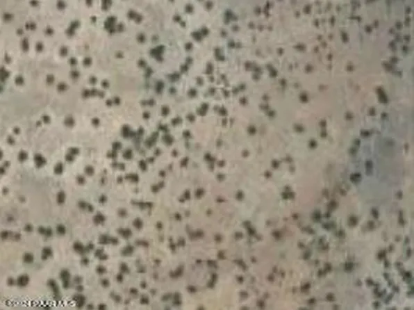 0 W Rolling Ridge Rd, Ash Fork, AZ 86320