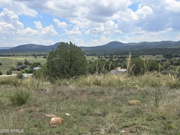 410 S ROLLING HILL Road #1&2, Young, AZ 85554