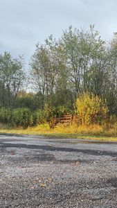 7 Woolworth Rd, Erin, TN, 37061